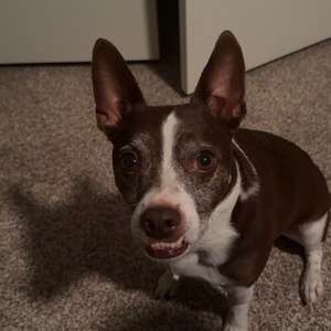 Fundraising Page: Andrew Palko